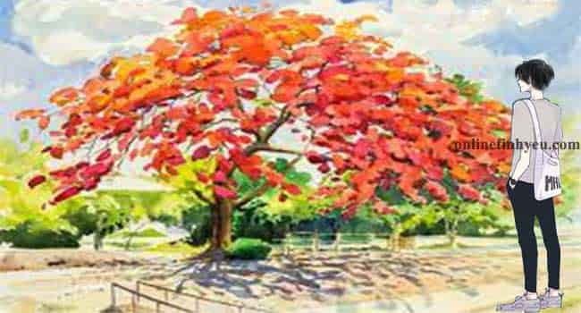 Mong manh hạnh phúc