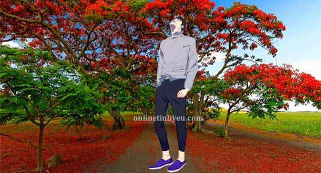 Tháng năm và nỗi nhớ