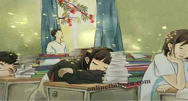 Mùa hè đã đến