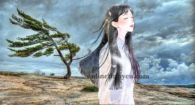 Gió ngược chiều