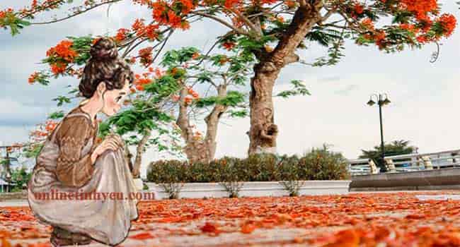 Tháng năm... hạ nhớ