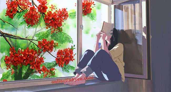 Hạ khơi niềm nhớ