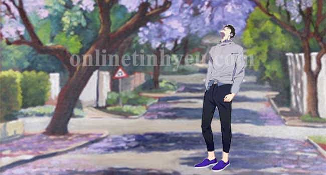 Hoa tím chiều buông