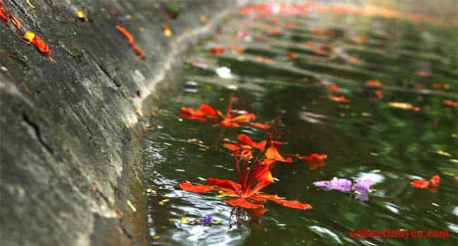 Tháng năm thương nhớ