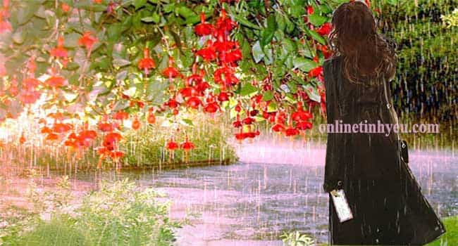 Hạ về khơi niềm nhớ