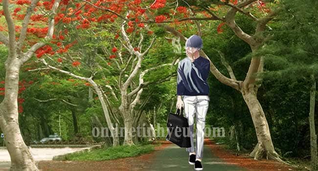 Bóng nàng thiếu nữ tháng năm