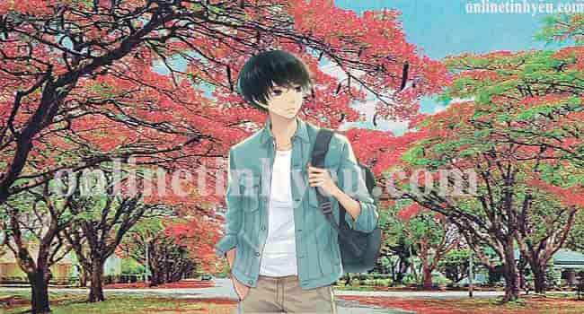 Nhớ mùa phượng vĩ