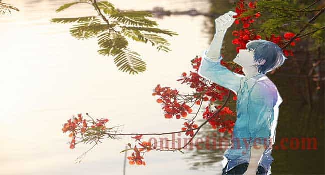 Hạ nhớ - Huỳnh Nhật Minh