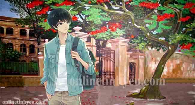 Một trời phượng cũ