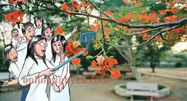 Tháng sáu mùa thi