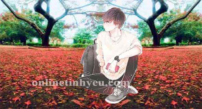 Cánh phượng rơi