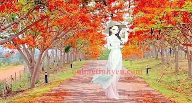 Sắc hoa màu nhớ