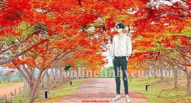 Nhớ mùa phượng xưa