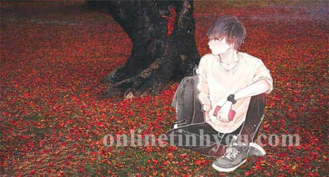 Hoa phượng - Lê Viết Tư