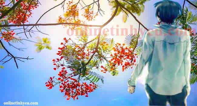 Hạ về trong đáy mắt nâu