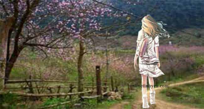 Hãy cứ bước đi