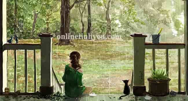 Hoài niệm chiều mưa