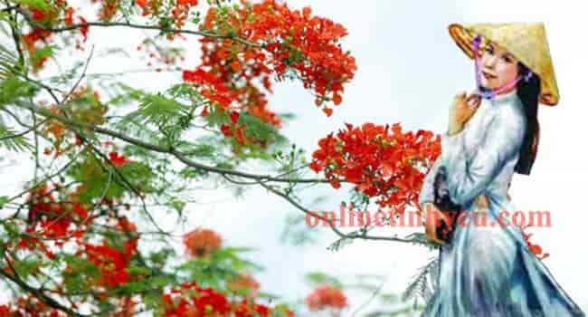 Mùa phượng cuối