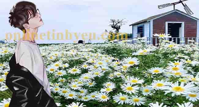 Chào tháng bảy - Hồng Giang -