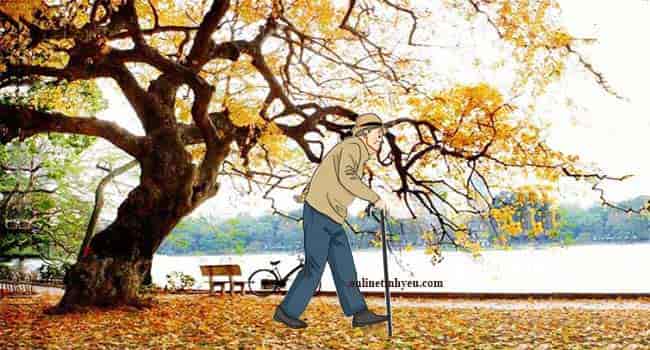 Người ấy và tôi