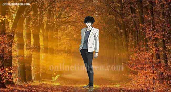 Chiều nắng tắt