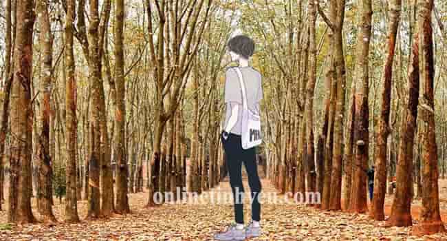 Tháng tám và cơn đau