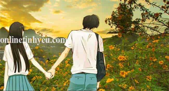 Tháng chín nhớ mùa hoa dã quỳ