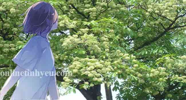 Tháng chín về anh hỡi