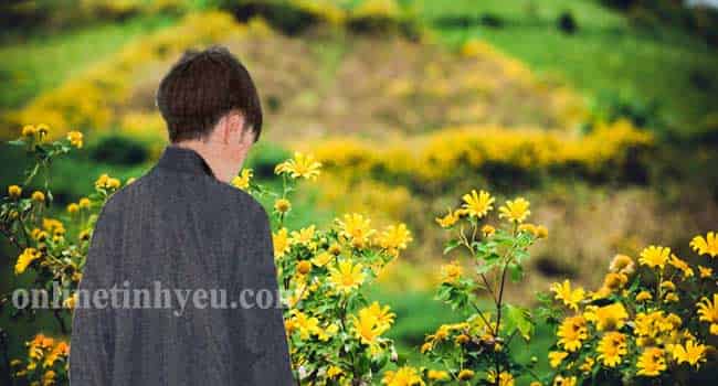 Loài hoa tháng mười một