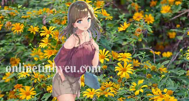 Hoa vàng phố núi