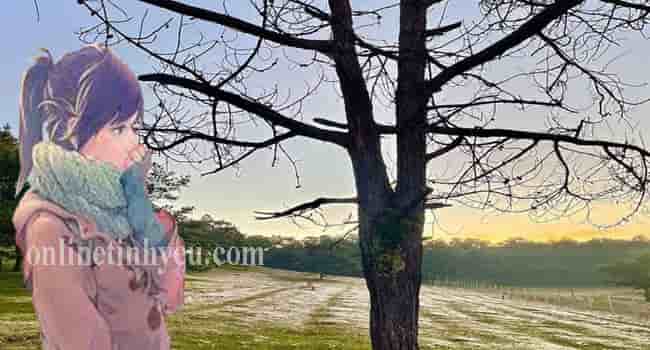 Chào tháng mười hai - Lan Tran -