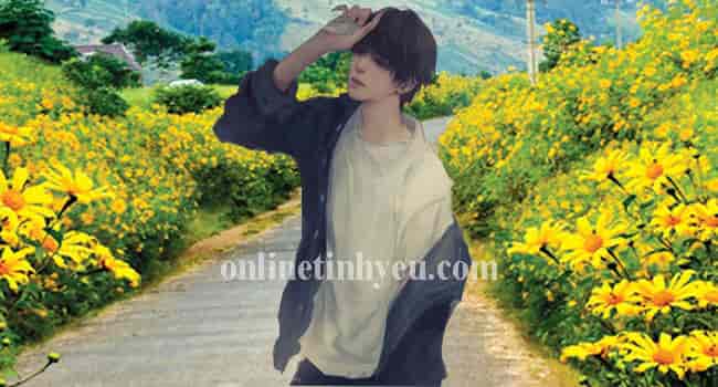 Dã quỳ riêng mang một mùa đông