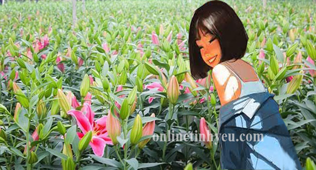 Bạn là người có phúc