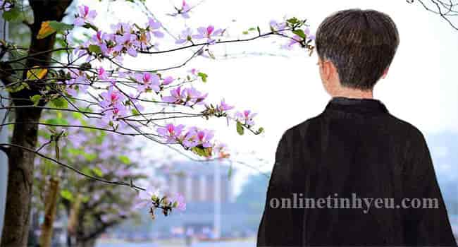 Tìm xuân - Nguyễn Hiền -