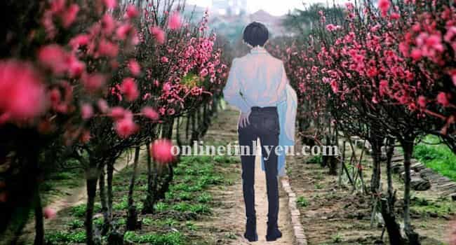 Hà Nội những ngày cuối năm