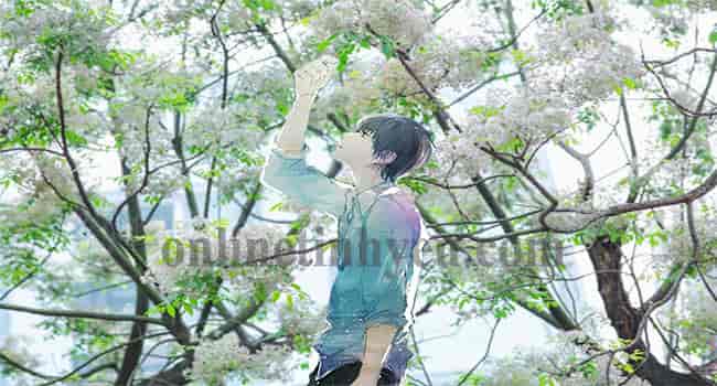 Tháng hai và nỗi nhớ