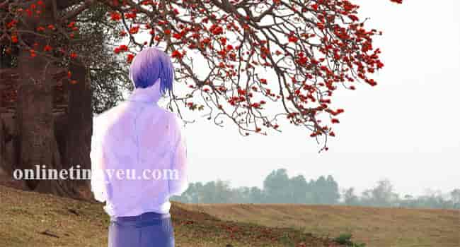 Tháng ba về - Thúy Hoàng -