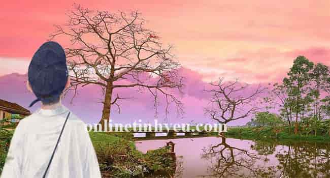 Tháng ba mùa hoa nở