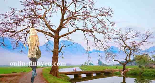 Cảm xúc tháng ba