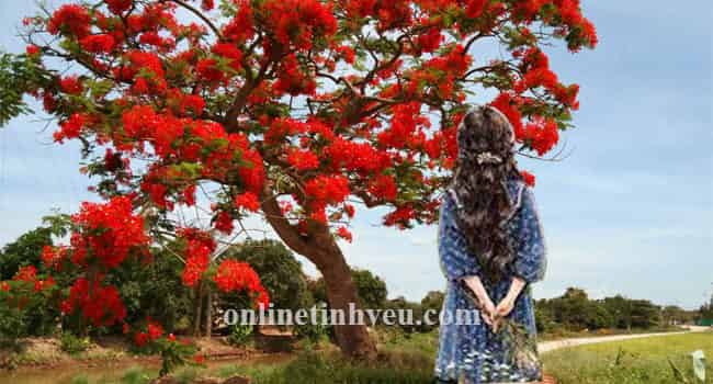 Tháng năm gợi nhớ - Hoàng Anh Uselmann -