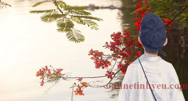 Em có về nơi ấy