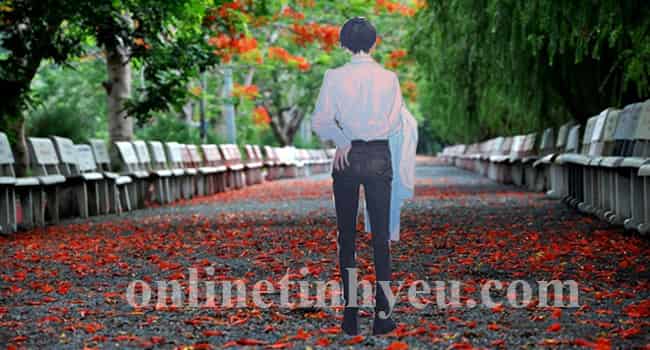 Phượng hồng tháng tư