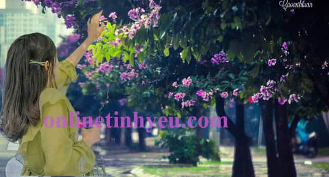 Tháng năm về bằng lăng tím nhớ anh