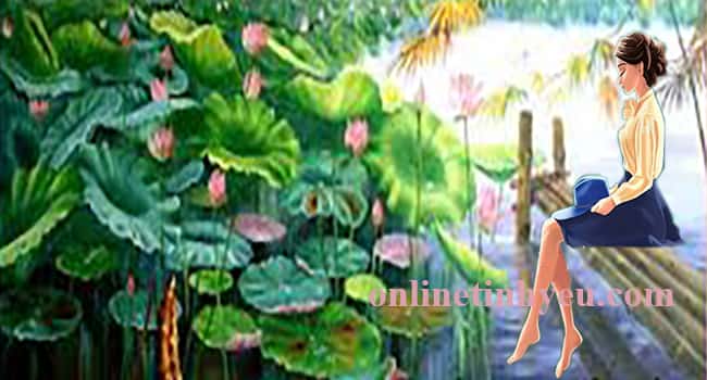 Tháng sáu mùa sen