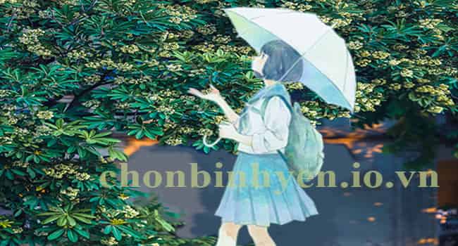 Hoa sữa tháng mười