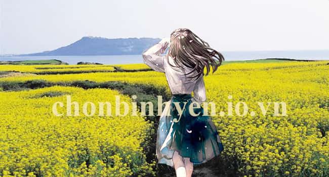 Mừng sinh nhật tháng mười một