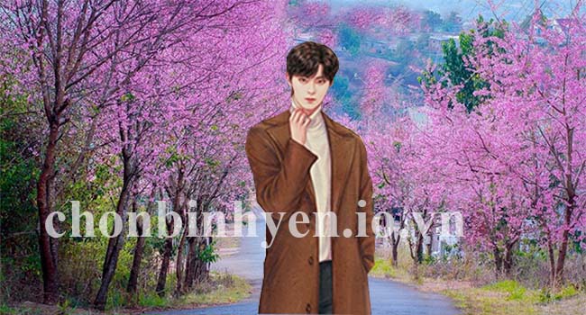 Nỗi nhớ em giữa ngày phố tháng giêng