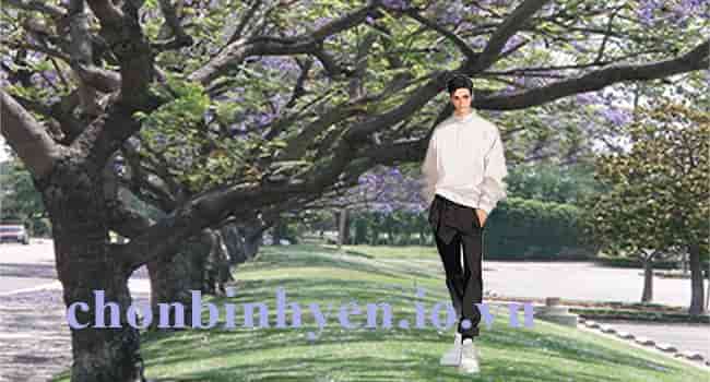 Tháng hai và nỗi nhớ dịu dàng