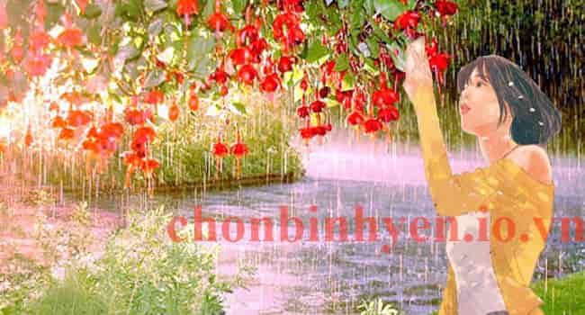 Cảm xúc tháng năm