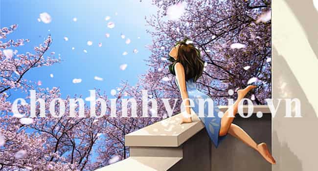 Cách mà bạn nhìn nhận cuộc đời chính là cuộc đời của bạn